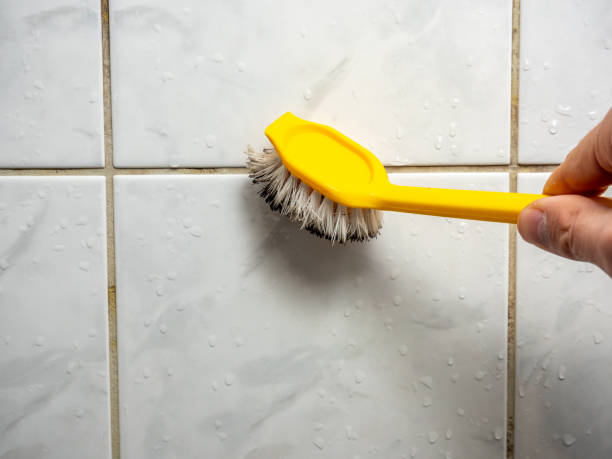 Best Mold Testing  in Cortland, NY