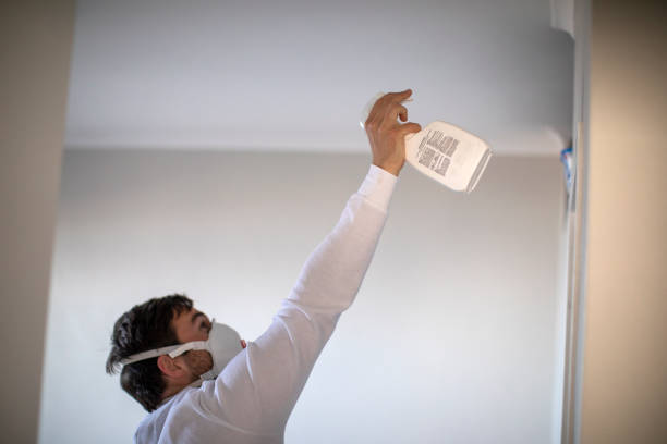 Best Mold Remediation Services  in Cortland, NY