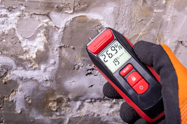 Best Local Mold Removal Service  in Cortland, NY