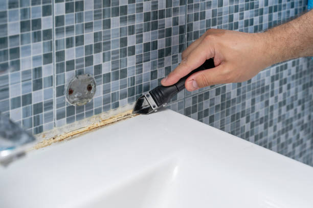 Best Fast Mold Removal  in Cortland, NY